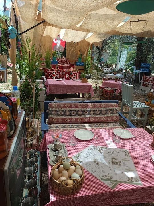 Anadolu bahçe