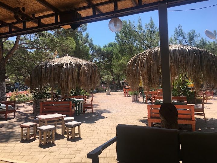 Anadolu Çam Cafe