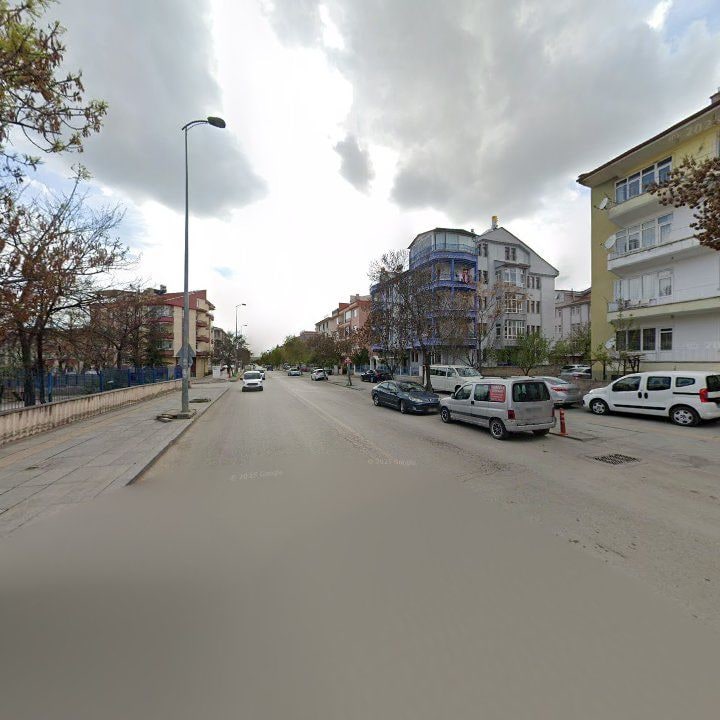 Fotoğraf 13