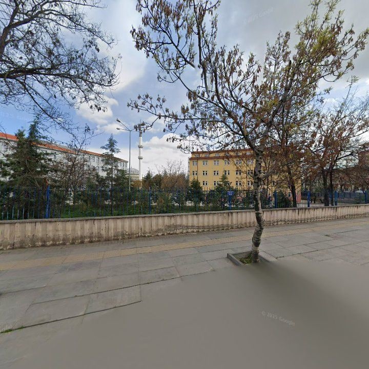 Fotoğraf 12