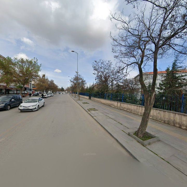 Fotoğraf 11