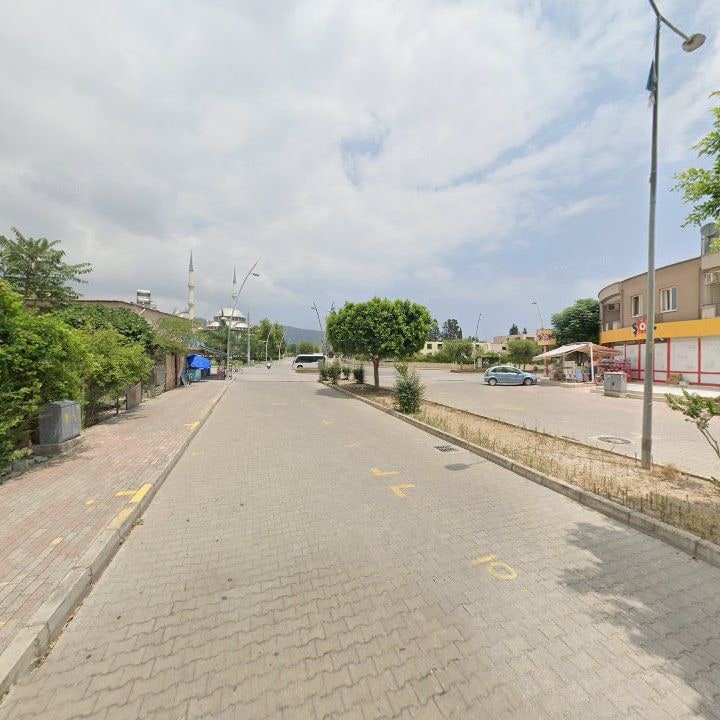 Fotoğraf 7