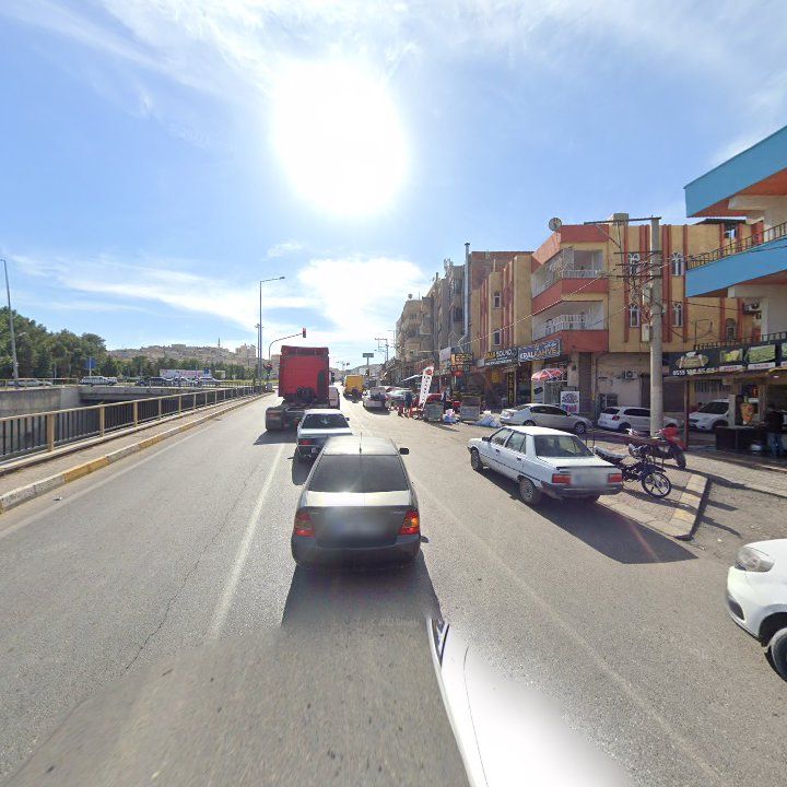 Fotoğraf 10