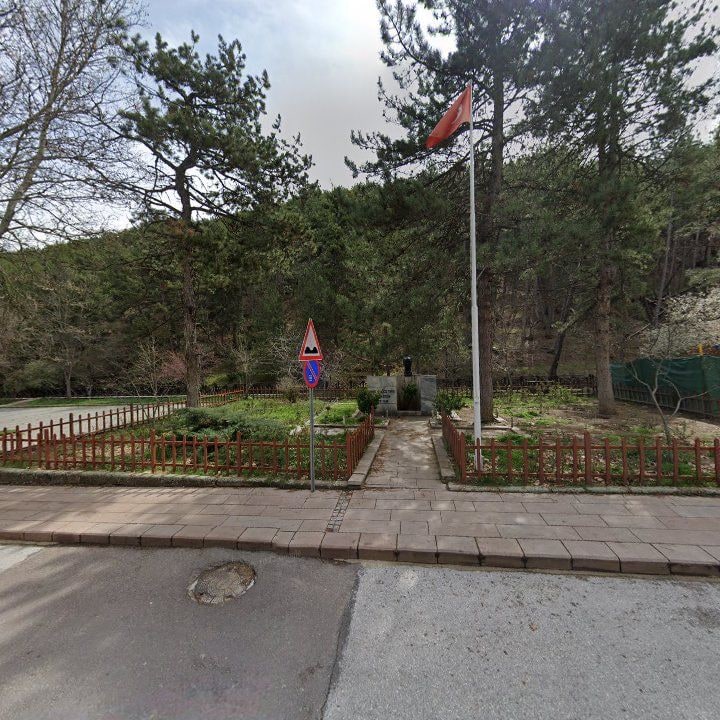 Fotoğraf 9