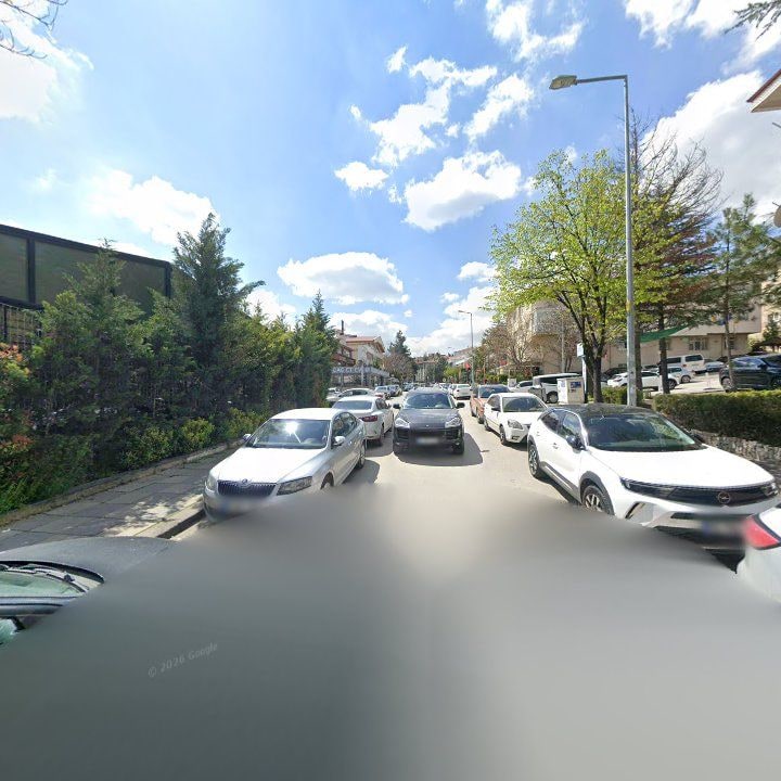 Fotoğraf 10
