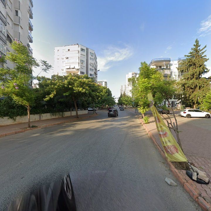 Fotoğraf 12