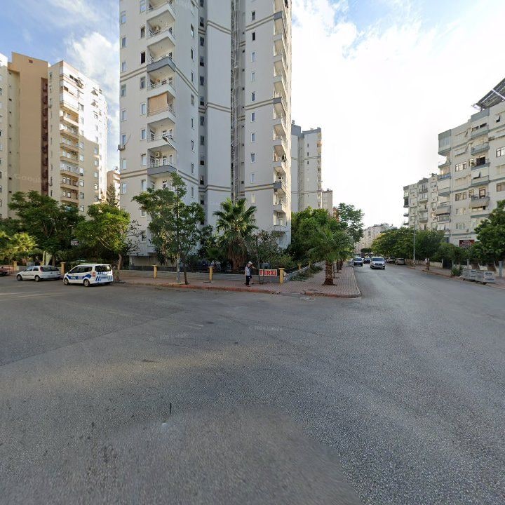 Fotoğraf 10