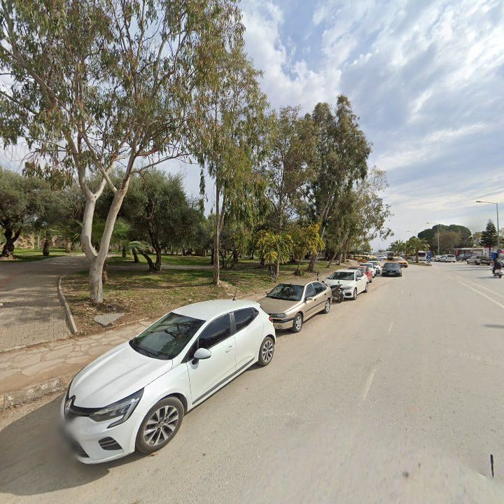 Fotoğraf 10