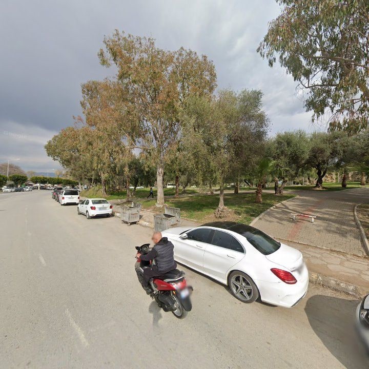 Fotoğraf 9
