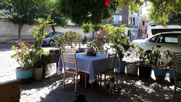Fotoğraf 4