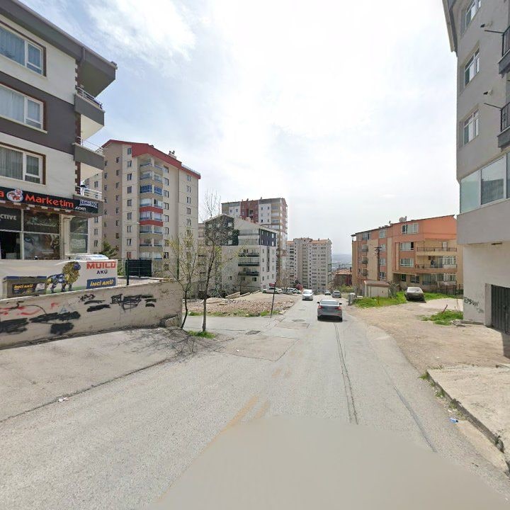 Fotoğraf 11