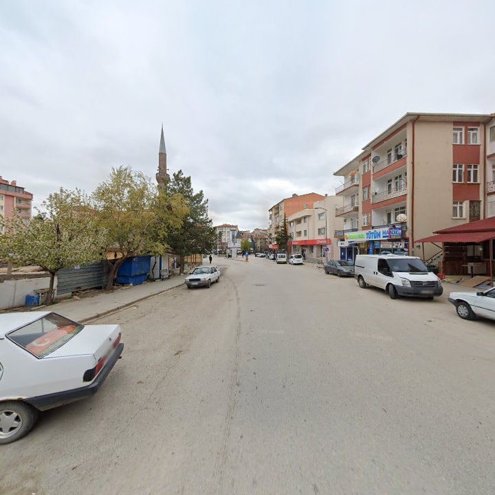 Fotoğraf 11