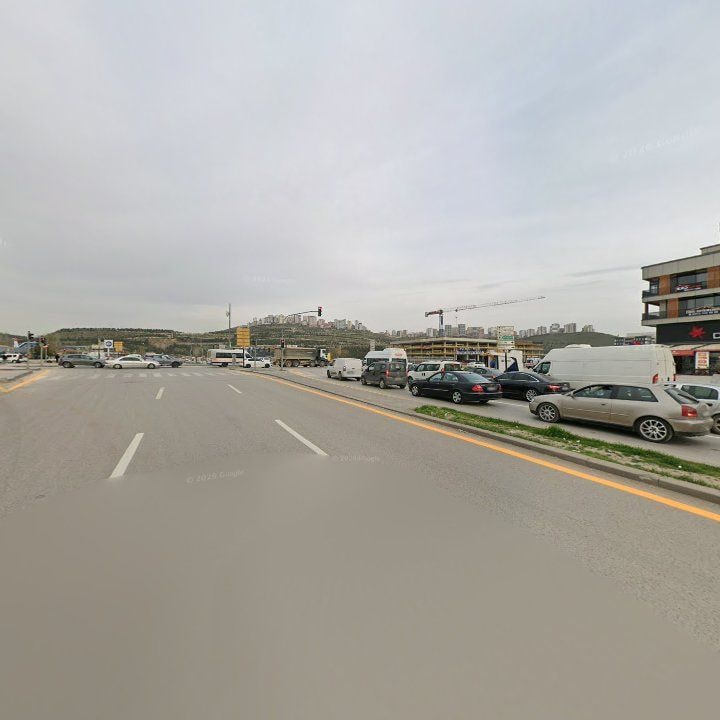Fotoğraf 9