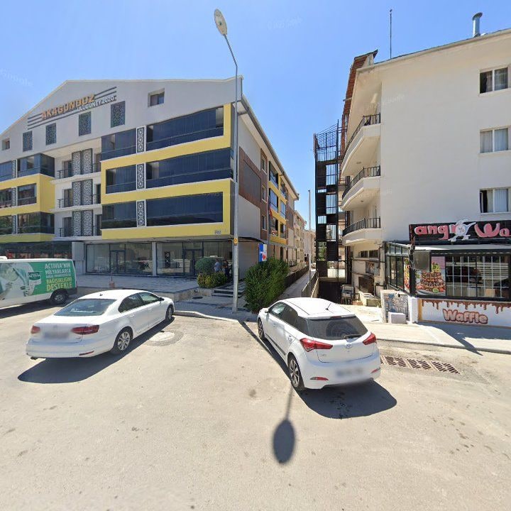 Fotoğraf 10