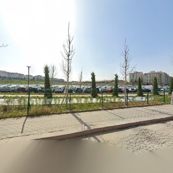 Fotoğraf 9