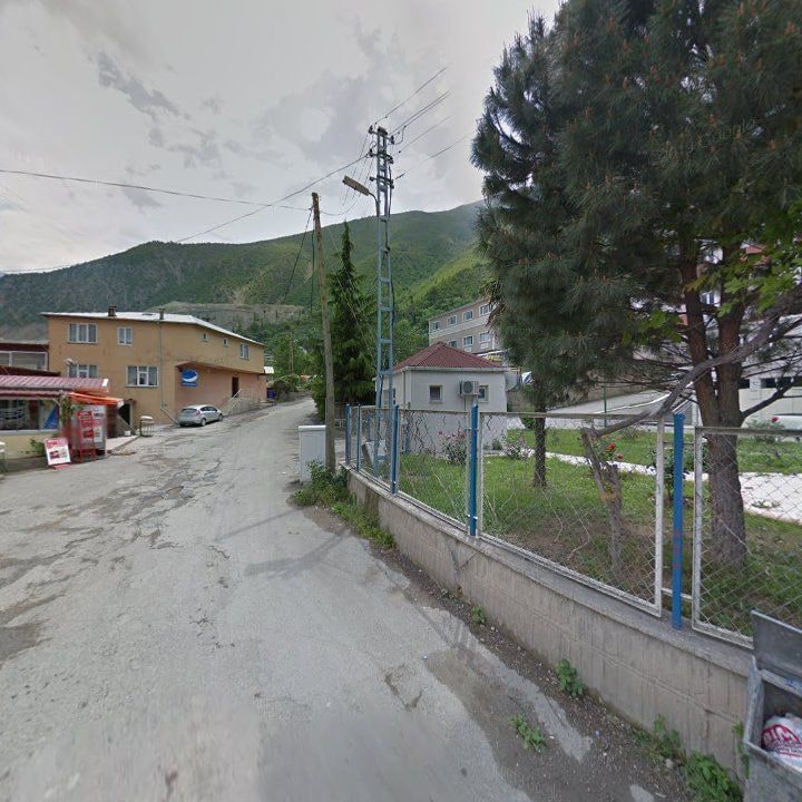 Fotoğraf 9