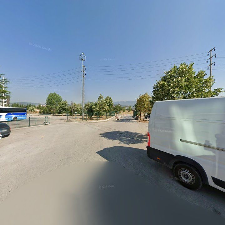 Fotoğraf 8