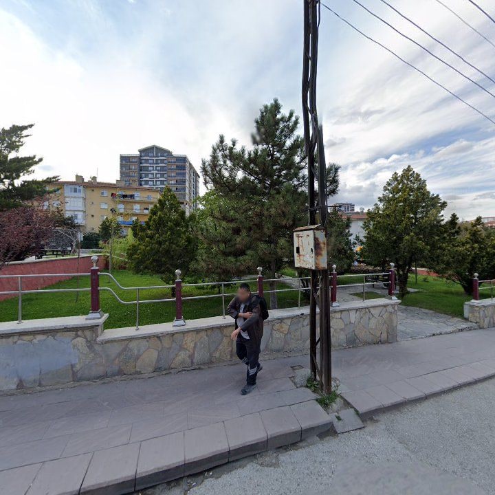 Fotoğraf 8