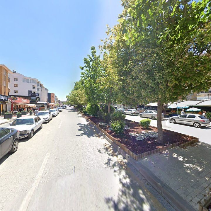Fotoğraf 8