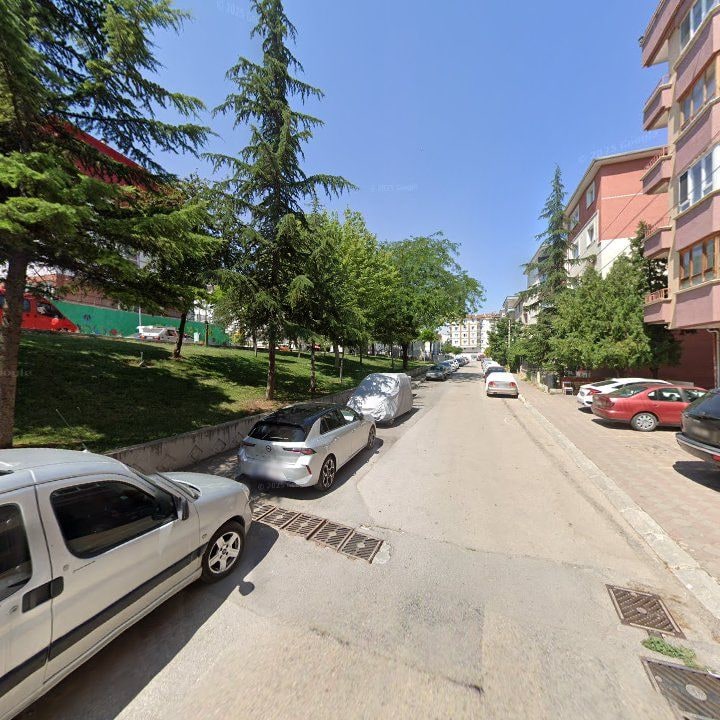 Fotoğraf 7
