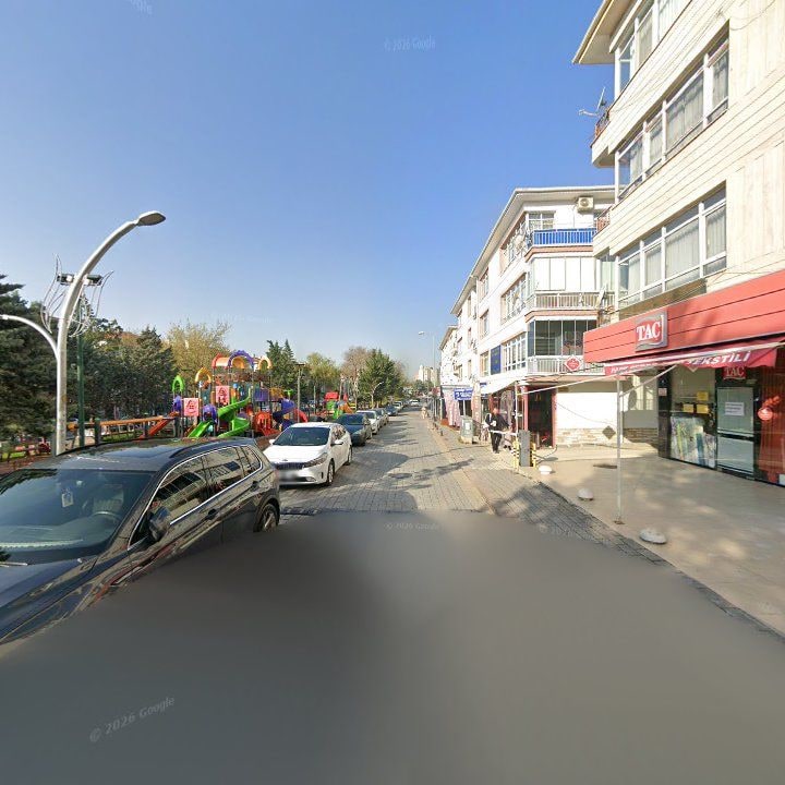 Fotoğraf 11