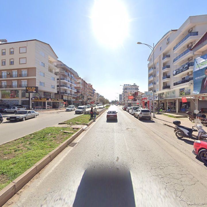 Fotoğraf 7