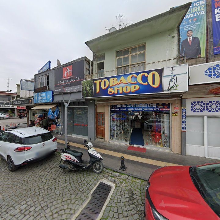 Fotoğraf 7