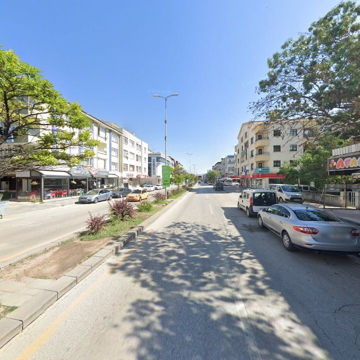 Fotoğraf 7
