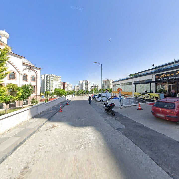 Fotoğraf 11