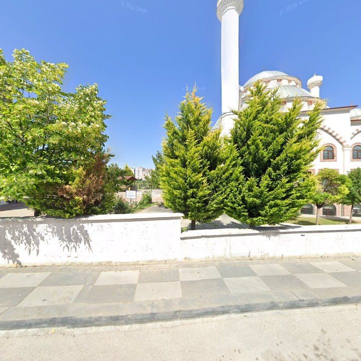Fotoğraf 10