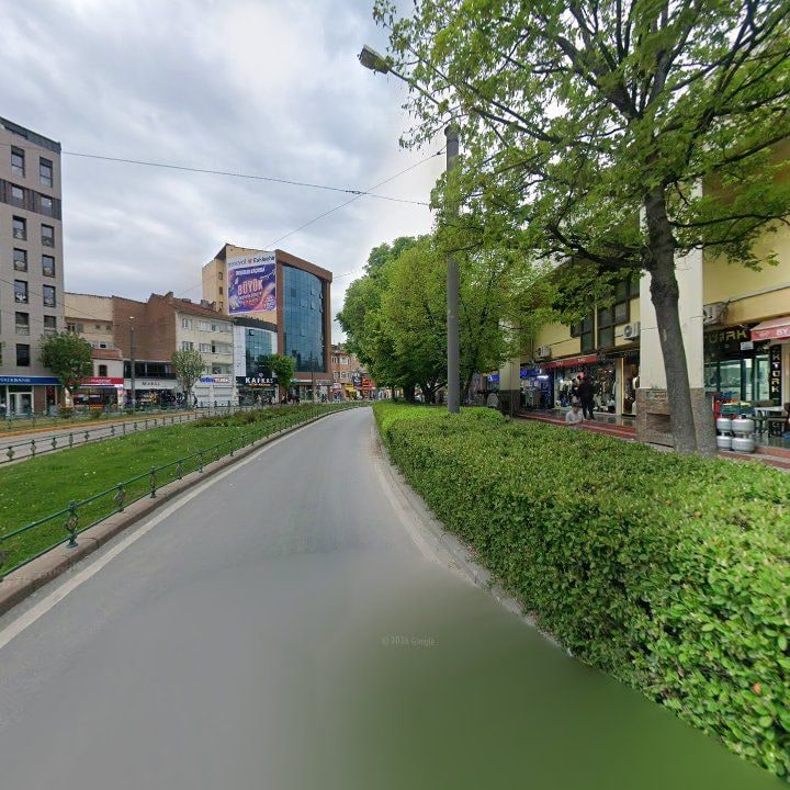 Fotoğraf 12