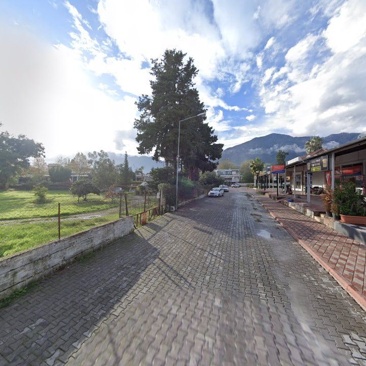 Fotoğraf 11
