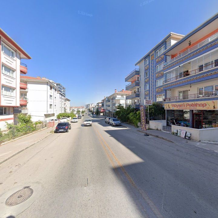 Fotoğraf 10