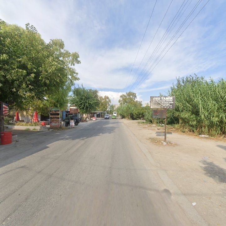 Fotoğraf 8