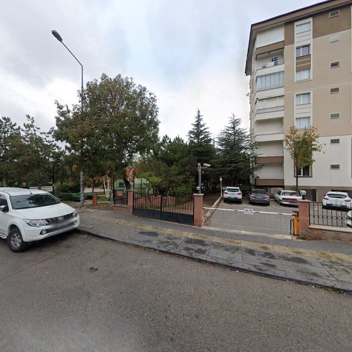 Fotoğraf 10