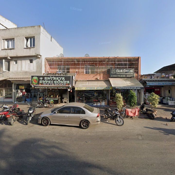 Fotoğraf 2