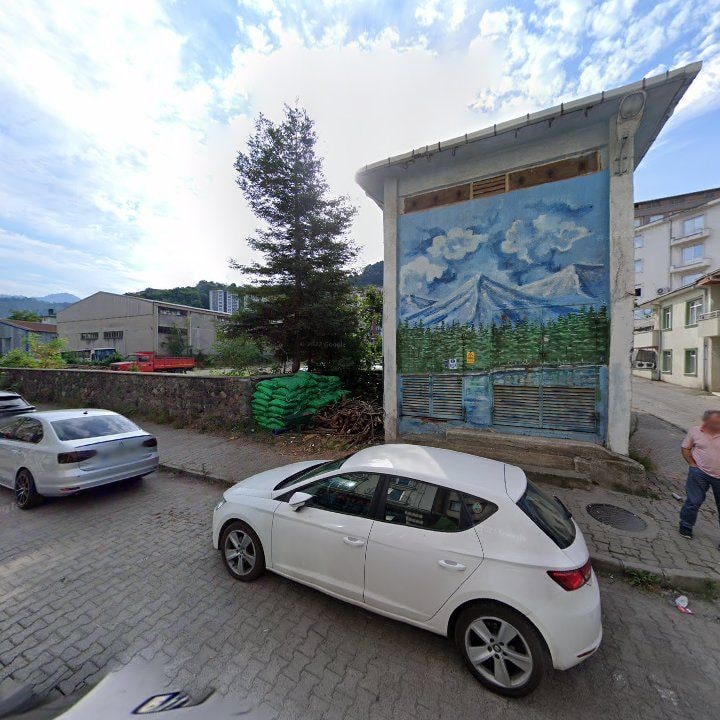 Fotoğraf 11