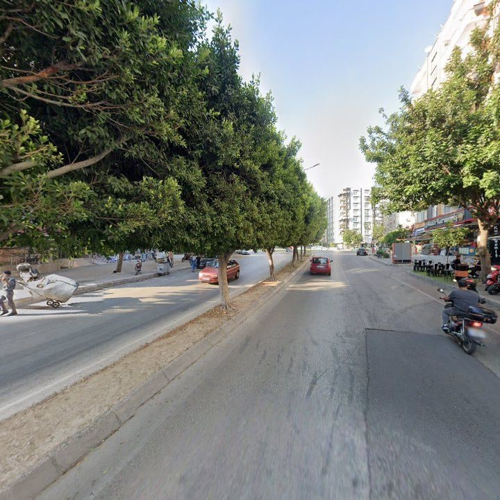 Fotoğraf 10
