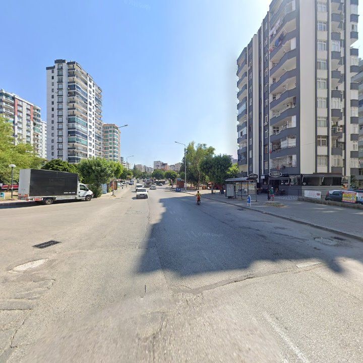 Fotoğraf 10