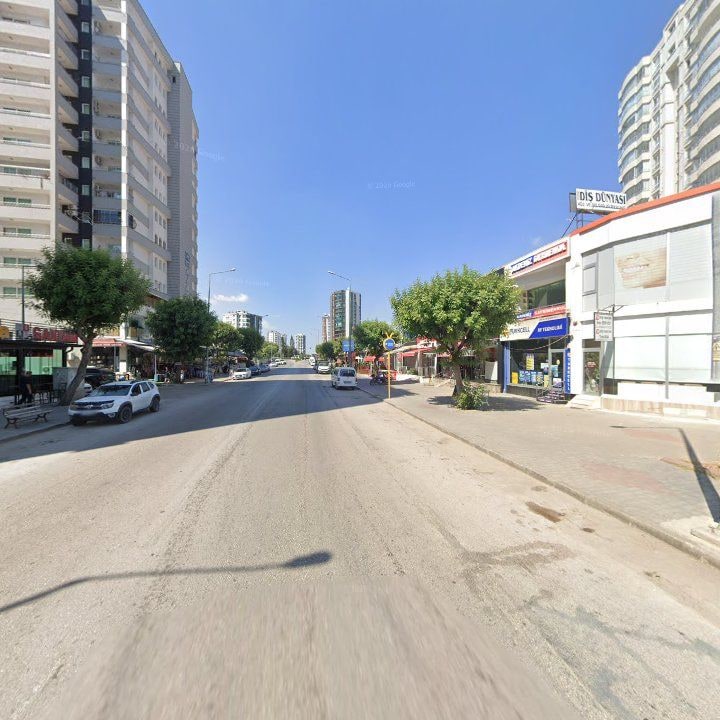 Fotoğraf 8