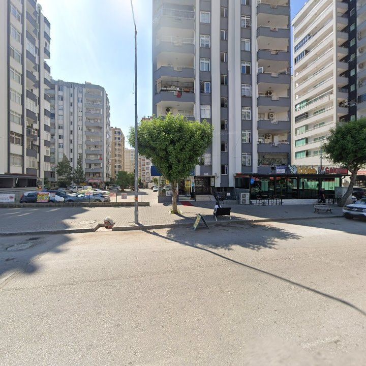 Fotoğraf 7