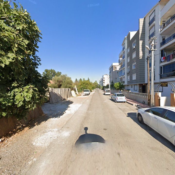 Fotoğraf 6