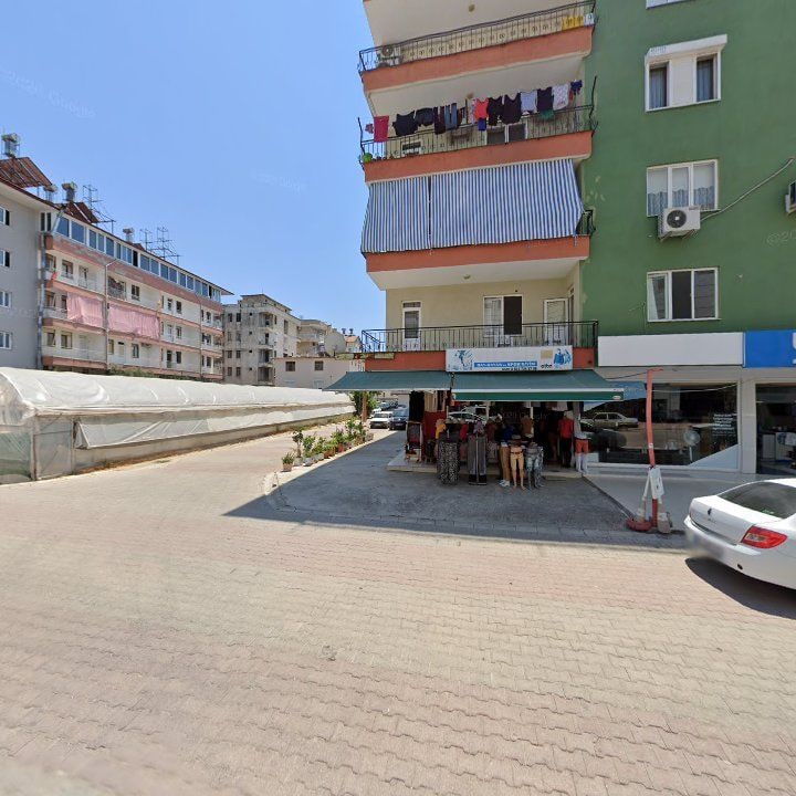 Fotoğraf 7