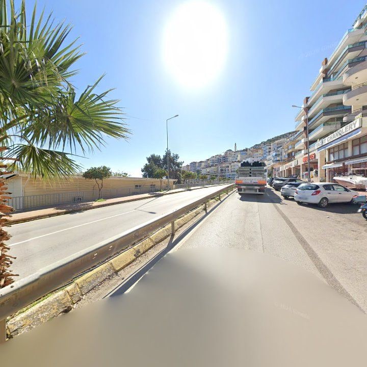 Fotoğraf 8