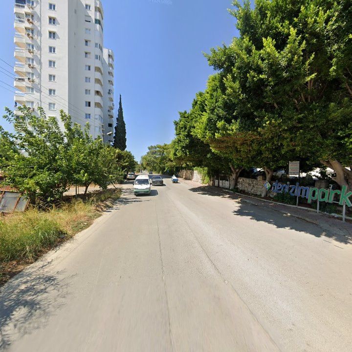 Fotoğraf 9