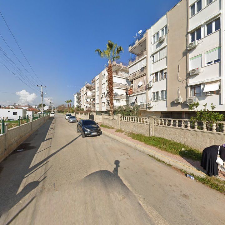 Fotoğraf 7