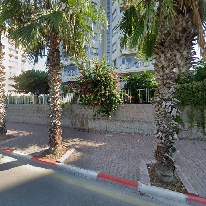 Fotoğraf 10