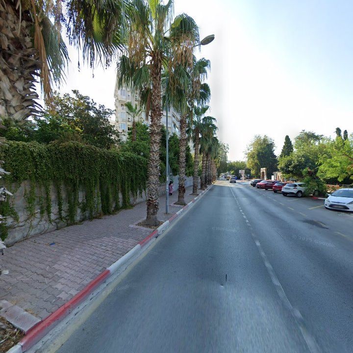 Fotoğraf 11