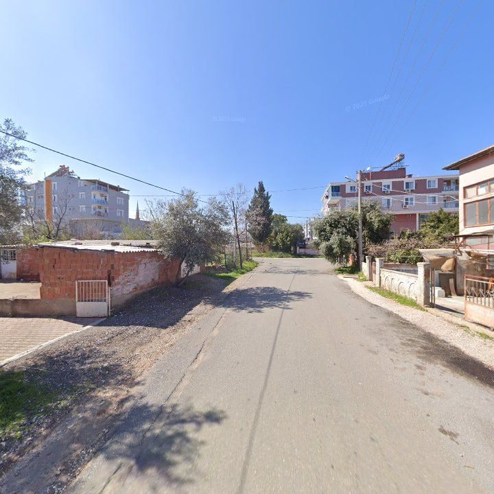 Fotoğraf 5