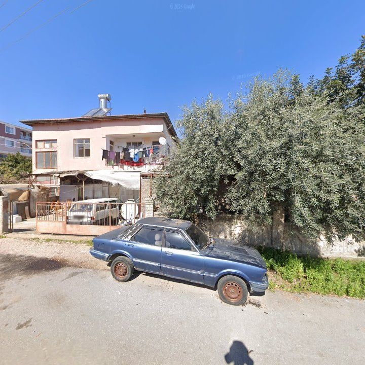 Fotoğraf 6